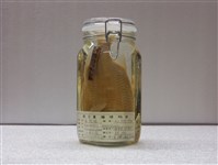 藏品(赤松毬)的圖片